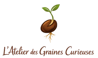 Logo de L'Atelier des Graines Curieuses, ASBL d'activités créatives pour enfants à Bruxelles